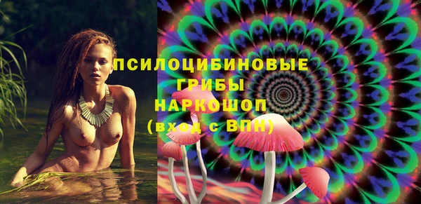 альфа пвп Нязепетровск