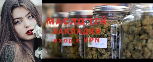 мет Няндома