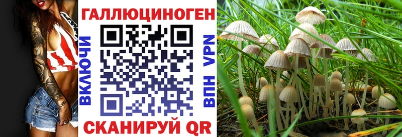 hydra онион  Баксан  Псилоцибиновые грибы мицелий  даркнет сайт 