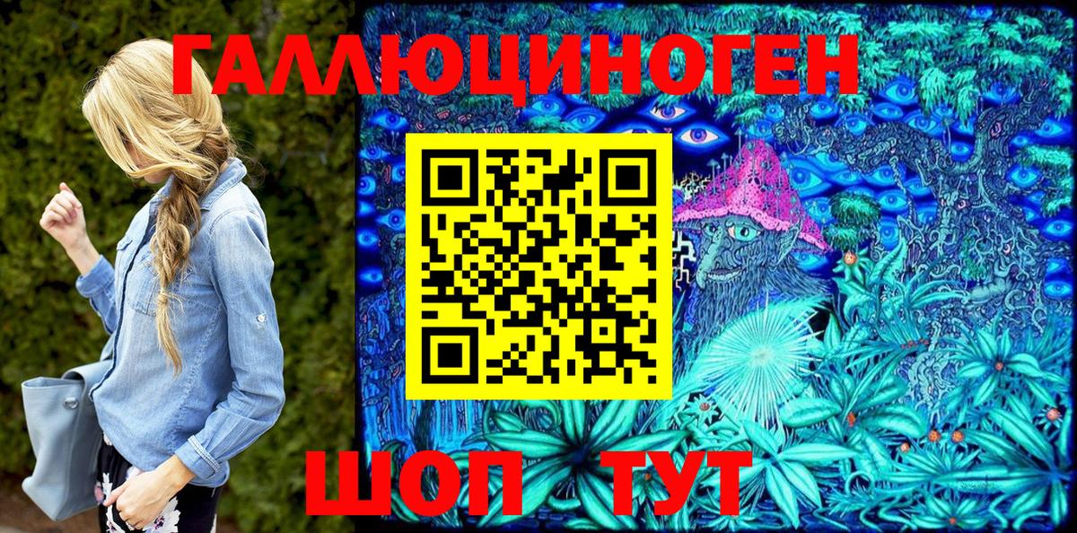 Баксан  Галлюциногенные грибы Psilocybine cubensis  Вход с VPN 