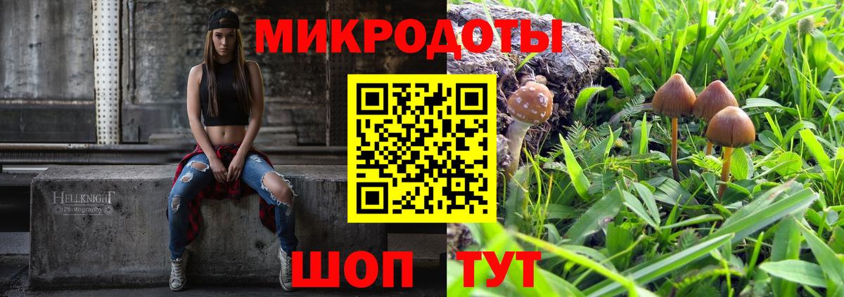 Галлюциногенные грибы мицелий Баксан