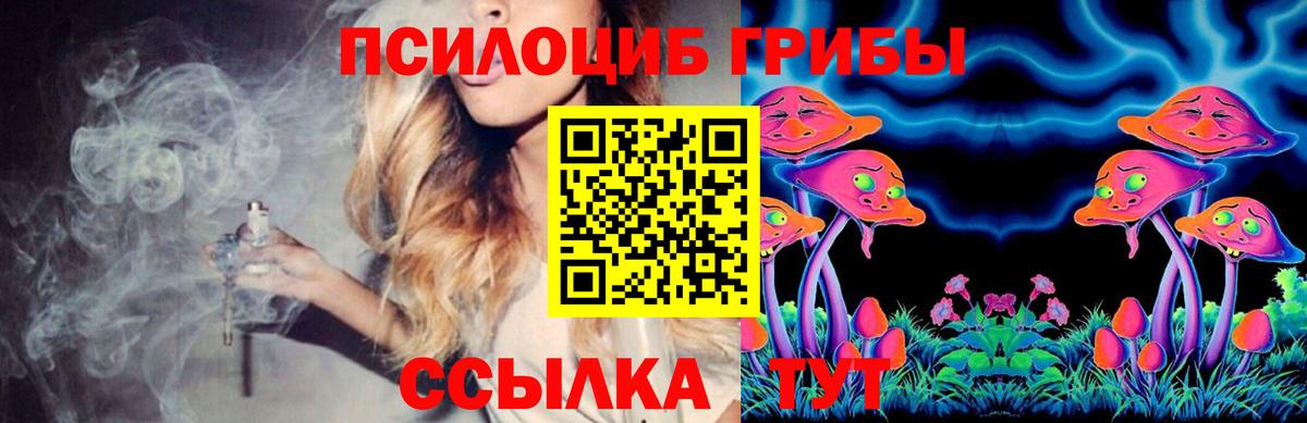 Псилоцибиновые грибы Psilocybe Баксан